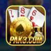 pak3 game